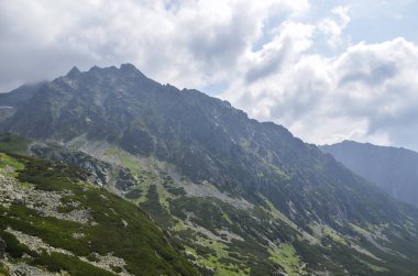 Görüntü, kuzey Slovakya 'daki High Tatra dağlarının çam ve kireçtaşı kayalarıyla tepelerini ve yamaçlarını gösteriyor.