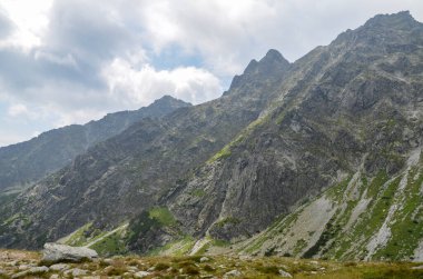 Görüntü, kuzey Slovakya 'daki High Tatra dağlarının çam ve kireçtaşı kayalarıyla tepelerini ve yamaçlarını gösteriyor.