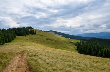 Yeşil çayırları olan güzel dağ manzarası, Evergreen ladin ormanı, Karpatlar, Ukrayna 'da ahşap çoban evleri