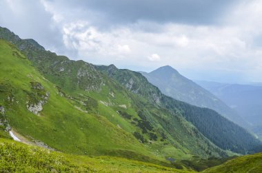 Marmarosh Alplerindeki kayalık sırt, Romanya Karpat sınırı, Marmarosy bölgesi, Transcarpathia, Ukrayna.