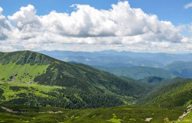 Ormanlık yamaçları ve otlak vadisi olan dağ sıraları. Yazın Chornohora sırtı manzarası. Karpat Dağları, Ukrayna