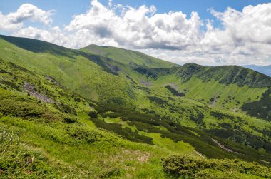 Ormanlık yamaçları ve otlak vadisi olan dağ sıraları. Yazın Chornohora sırtı manzarası. Karpat Dağları, Ukrayna