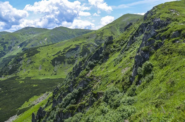 Paysage Montagne Vert Avec Haute Crête Des Carpates Ukrainiennes Chornohora — Photo