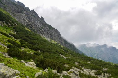 Slovakya 'nın High Tatras kentindeki bulutlarla kaplı keskin kayalık dağların manzarası 