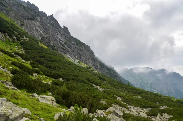 Вид Гострі Скелясті Гори Вкриті Хмарами Високих Татрах Словаччина — стокове фото