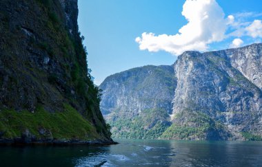 Deniz seyahati boyunca fiyortların manzarası ve sakin manzarası. Flam Norveç güneşli bir günde çekildi.