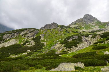Dağ manzarası. Alçak bulutlarda yüksek dağlar. Yüksek Tatras dağlarının doğası. Slovakya, Avrupa.