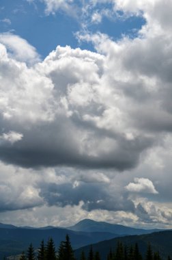Çam ağaçları ve kabarık bulutlu gökyüzü ile güzel doğa manzarası. Karpat Dağları, Ukrayna 