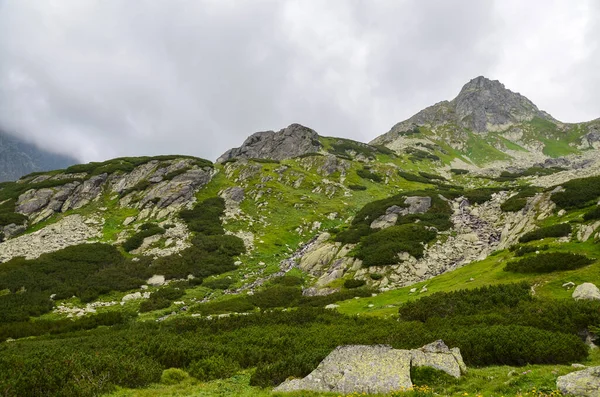 Górski Krajobraz Wysokie Góry Niskich Chmurach Natura Tatr Wysokich Słowacja — Zdjęcie stockowe