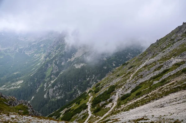 Vackra Skarpa Bergstoppar Sommaren Nationalparken Höga Tatra Med Molnig Himmel — Stockfoto