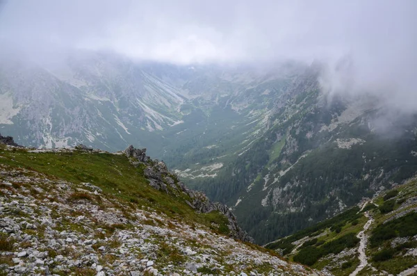 Belos Picos Montanha Afiados Hora Verão Parque Nacional High Tatras — Fotografia de Stock