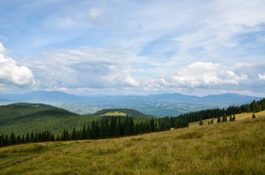 Dağların tepelerindeki ormanın içinde otlak yamaçları. Yazın Karpat Dağları. Doğanın güzelliği. Yürüyüş hedefi.