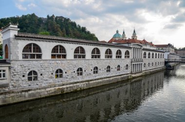 Ljubljanica Nehri ve Merkez Pazar Atari Salonu, Ljubljana şehrinin köprüden manzarası. Slovenya, Avrupa