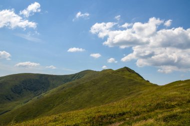 Yazın Borzhava sırtında yeşil kayan tepeleri ve çimenli çayırları olan güzel doğa manzarası. Karpat Dağları, Ukrayna