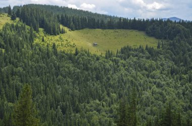 Karpat ormanlarında eski ahşap bir ev olan dağ manzarası bulutlu bir yaz gününde yeşil çayır üzerinde.
