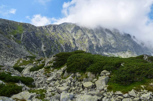 Krajobraz Wysokich Zielonych Gór Niebo Chmurami Tatry Wysokie Słowacja Piękny — Zdjęcie stockowe