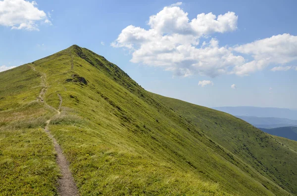 Borzhava Dağı 'nın zirvelerinden birinde yürüyüş parkurları olan güzel bir yaz manzarası. Karpat Dağları, Ukrayna