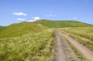 Güneşli bir yaz gününde Borzhava sırtındaki yeşil tepeler boyunca dağlık yürüyüş patikaları yokuş yukarı döner. Karpat Dağları, Ukrayna