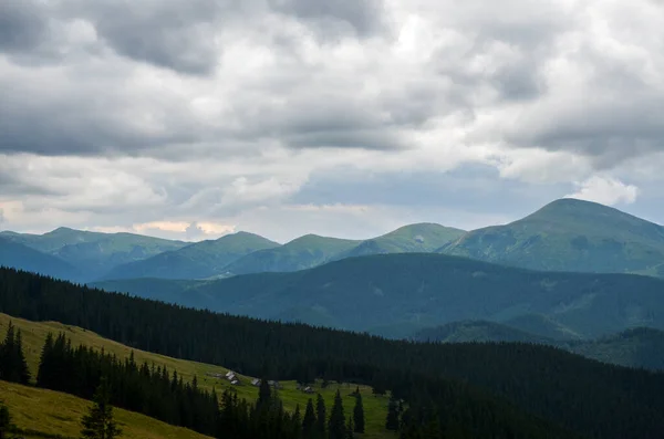 Small Shepherd Houses Wide Hill Grassy Meadow Pine Forest Chornohora — Stock Photo, Image