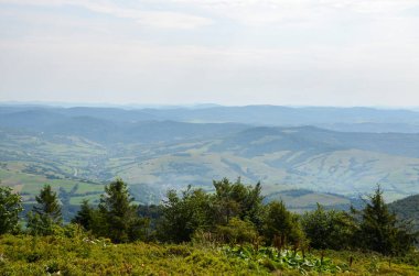Dağların tepelerinden ve köknar ağaçlarının tepelerinden yaz mevsiminde Karpat Dağları, Ukrayna 'daki köydeki ev binalarına bakın.