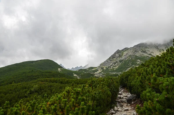 Berglandschap Met Rotsachtige Bergtoppen Bewolkte Lucht Hoge Tatra Slowakije Toerisme — Stockfoto