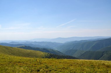 Yazın Karpat dağlarının kırsal kesiminde. Borzhava dağlarının muhteşem manzarası, Ladin ormanının yakınındaki yuvarlanan tepeler.