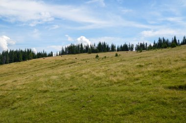 Güzel bir yaz gününde çayırlık yamaçlı ve ormanlık tepeli vadiden manzaralı bir yer. Karpat Dağları. Ukrayna 