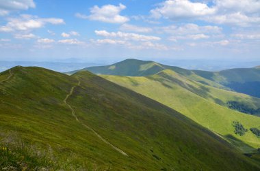 Dağ sırtının yeşil çimlerle kaplı manzarası canlı mavi bulutlu gökyüzü altında, Karpat Dağları, Ukrayna