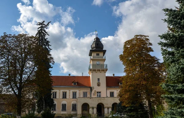 Radnice Starobylého Královského Města Žovkova Jednou Výzdobou Centra Města Lvovská — Stock fotografie