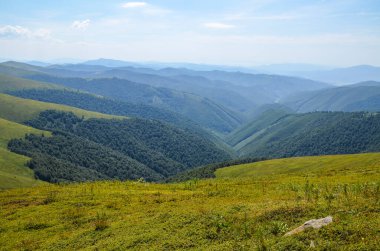 Yeşil dağları ve ormanlık tepeleri olan güzel bir dağ manzarası. Karpatlar, Ukrayna 'da güzel yaz renkleri