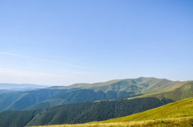 Carpathian landscapes and panoramic views of grassy mountain ridge of Borzhava meadow in sunny summer day