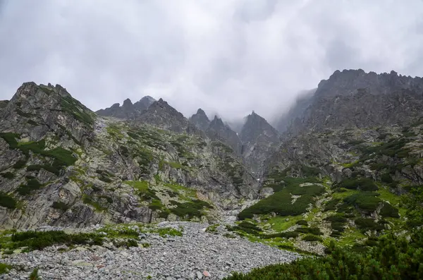 Sharp Green Grassy Rocky Mountain Peaks High Tatra Mountains Cloudy — Zdjęcie stockowe