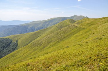 Hiking pathway along the grassy slopes of Borzhava ridge. The hilly landscape is perfect for hiking. Carpathian mountains, Ukraine