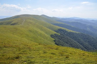 Yeşil Karpat dağlarının yaz manzarası yoğun bitki örtüsüyle, mavi bulutlu gökyüzünün altındaki yeşil tepelerin üstünde.