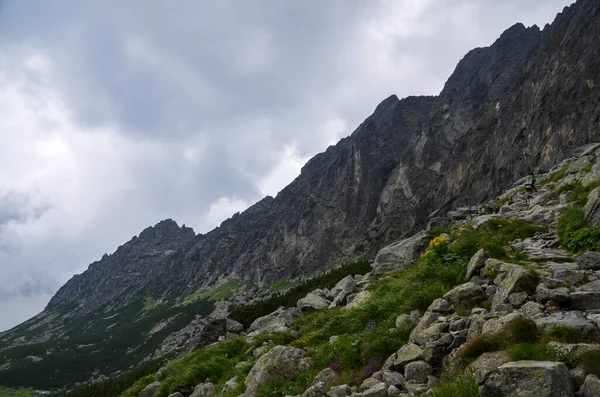 Sharp Green Grassy Rocky Mountain Peaks High Tatra Mountains Cloudy — Fotografia de Stock