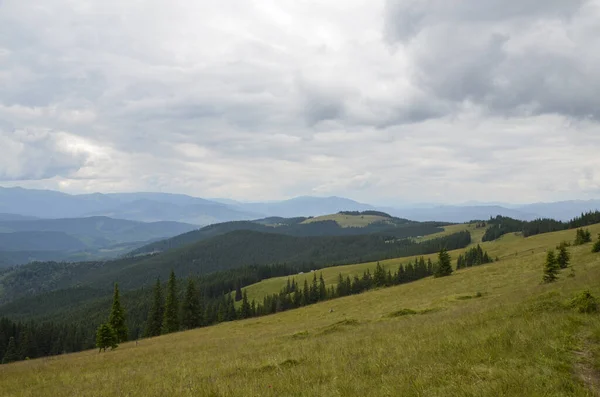 Schöne Alpine Wiese Mit Wald Hang Den Karpaten Berglandschaft Mit — Stockfoto