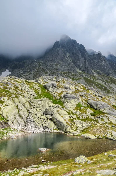 Imagem Mostra Picos Encostas Com Rochas Pinho Calcário Das Montanhas — Fotografia de Stock