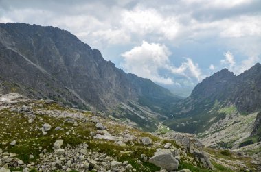Görüntü, kuzey Slovakya 'daki High Tatra dağlarının çam ve kireçtaşı kayalarıyla tepelerini ve yamaçlarını gösteriyor.