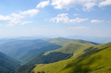 Yeşil Karpat dağlarının havadan görünüşü sonsuz yeşil çam ormanları ve güneşli yaz günlerinde uzak dağ zirveleriyle kaplıdır.. 