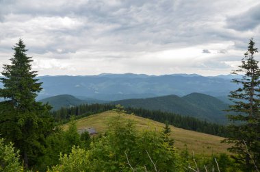 Güzel yeşil çimenli vadi manzarası, ağaçlar ve dağlar açık bir yaz günü mavi gökyüzü altında. Doğanın güzelliği, turizm, seyahat ve çevre koruma kavramı. Karpatlar