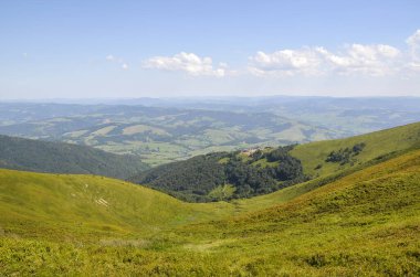 Güneşli yaz gününde Karpat Dağları 'nın güzel manzarası. Taze yeşil tepeler ve çam ormanı, renkli doğa manzarası. 