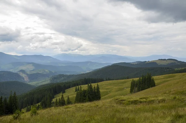 Schöne Aussicht Auf Grünes Grastal Bäume Und Berglandschaft Einem Strahlenden — Stockfoto