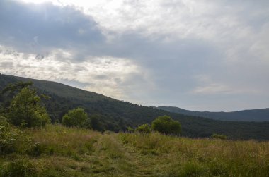 Güzel sabah bulutlu günü dağ manzarasında. Karpatlar, Ukrayna 'da seyahat edin. Doğanın güzelliği konsepti