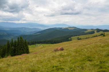Yazın güzel dağ manzarası. Yeşil çimenler, kırsal yol ve arka planda muhteşem bir gökyüzü. Karpat Dağları, Ukrayna