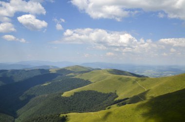 Yüksek dağ Borzhava tepesi, yazlık yeşil yaban mersini çayırı ve mavi gökyüzünün altında bulutlu bir orman ile kaplıdır. Yürüyüş ve seyahat konsepti. Karpat Dağları, Ukrayna