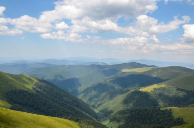 Karpat dağlarının yeşil ormanlarla kaplı harika bir yaz manzarası. Borzhava sırtı, Transcarpathia, Ukrayna