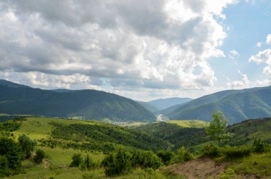 Yeşil tepelerdeki küçük bir köyün kırsal evlerinin olduğu yuvarlanan bir kırsal bölgenin resimli yaz manzarası. Karpat Dağları, Ukrayna 