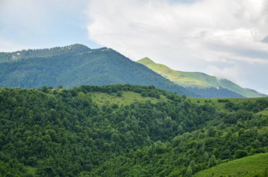 Arkaplanda bulutlu gökyüzünün altında yeşil ağaçların ve güzel dağların olduğu yaz manzarası. Karpatlar, Ukrayna