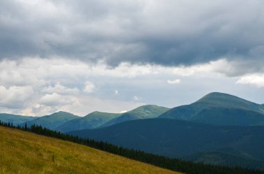 Karpatlar 'ın geniş çayırları, yamaçları ve orman yamaçları. Dağlarda altın tarlalar Gökyüzüne karşı yeşil ağaçlar