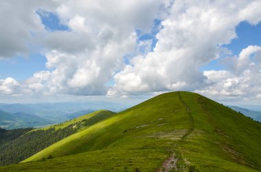 Yeşil tarlalar ve dağlar, bulutlu mavi gökyüzü. Yazın sonlarında Karpat Dağları. Karpatlar, Ukrayna